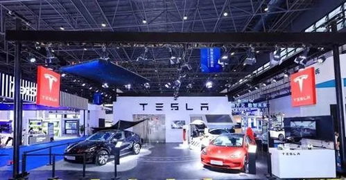 以智能科技助力消費升級,特斯拉亮相第二屆消博會