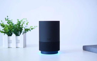 全志科技 小米體內(nèi)的中國芯